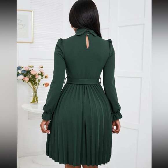 Luxe turtleneck flounce sleeve pleated dress - Picture 7 of 16